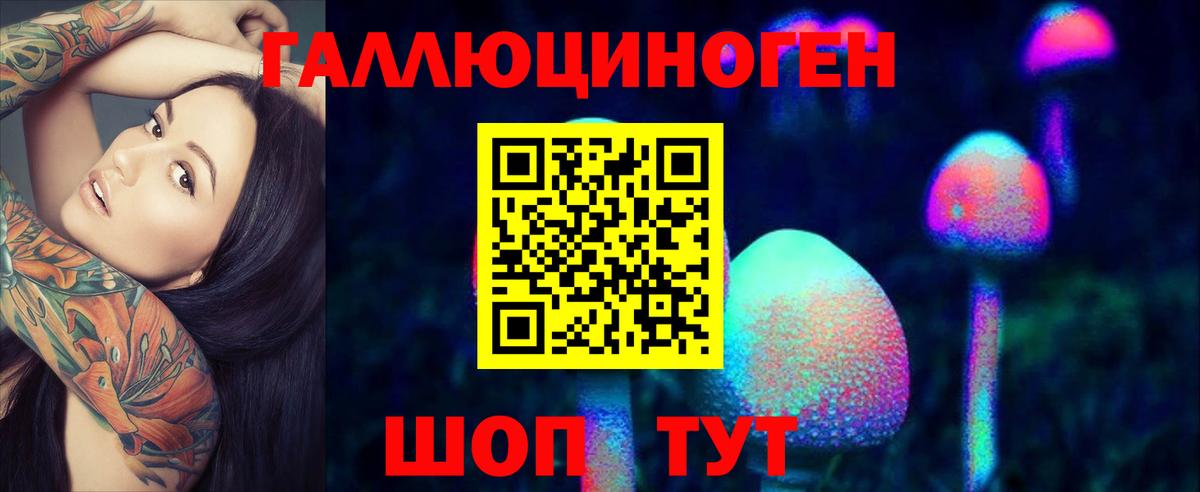 Галлюциногенные грибы MAGIC MUSHROOMS  Вход с VPN  Малгобек 