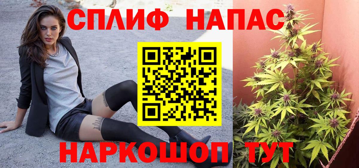 Канабис OG Kush Малгобек